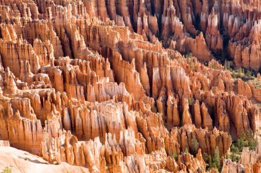 Serseriler, Bryce Canyon Ulusal Parkı 'ndaki erozyon sonucu oluşan kaya sütunları.