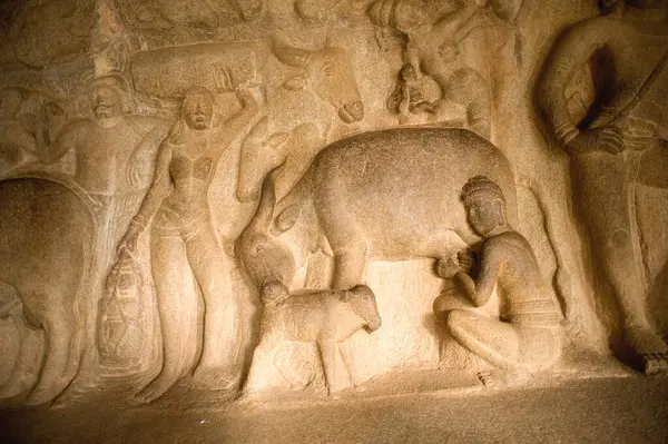 stock image Sculptures in pancha pandava mandapa , Mahabalipuram Mamallapuram , Tamil Nadu , India