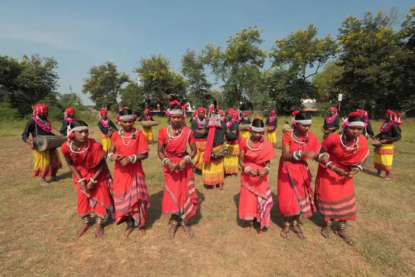 stock image Mudia tribal dancer, jagdalpur, chhattisgarh, india, asia 