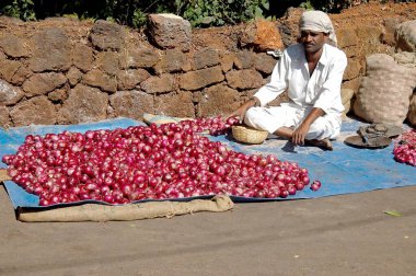 Mahabaleshwar 'daki haftalık pazarda soğan sebze satıcısı; Maharashtra; Hindistan