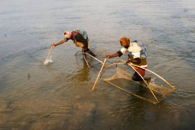 Betla Ulusal Parkı, Jharkhand ve Hindistan 'daki sığ Koel nehrinde özel ağlar kullanarak. 
