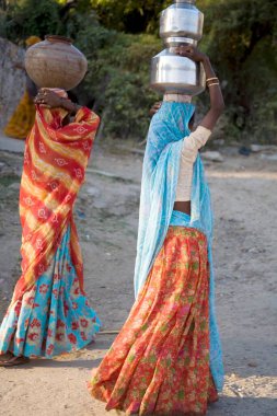 Kafasında su kabı taşıyan kırsal kadınlar, Dilwara, Udaipur, Rajasthan, Hindistan 