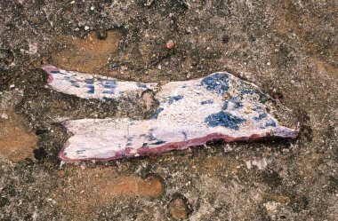 Dinozor fosili, Balasinor, Gujarat, Hindistan 