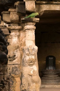 Kailasanatha tapınağı, Pallava kralı Narasimhavarman ve oğlu Mahendra tarafından Kanchipuram; Tamil Nadu; Hindistan