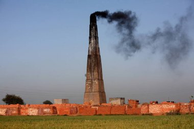 Punjab, Hindistan 'da tuğla fabrikası olan buğday tarlaları ön planda
