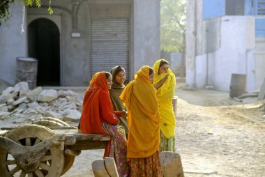 Hindistan 'da Jaipur' da kırsal kadınlar 