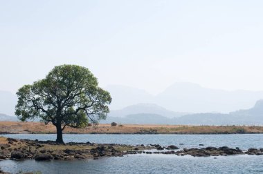 Bhandardara 'daki manzara Şendi Maharashtra Hindistan Asya Aralık 2011