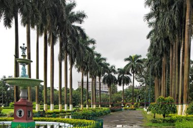 Palmiye bahçesi bulvarı, Kalküta Kolkata, Batı Bengal, Hindistan