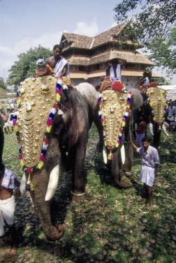 Trichurpooram fakirliği, Fil yürüyüşü mücevherli tapınak festivali, Kerala, Hindistan