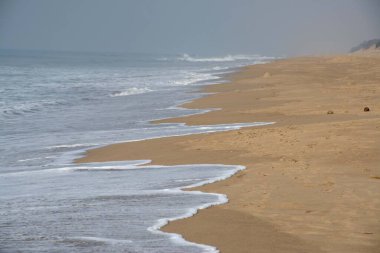 Chandrabhaga Plajı, Konarak, Orissa, Hindistan, Asya 