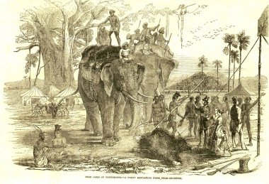 Avcılık ve hayvan manzarası, yüksek bira içme ortamı, ayı avcılığından dönen bir parti, Hindistan 