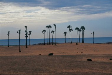 Manzara, Mahabalipuram, Tamil Nadu, Hindistan