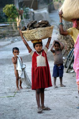 Ajanthi köyü, Hinganghat taluka, Wardha ilçesi, Maharashtra, Hindistan 'da kafasında gübre olarak kullanılan kurutulmuş inek gübresi taşıyan genç bir kız. 