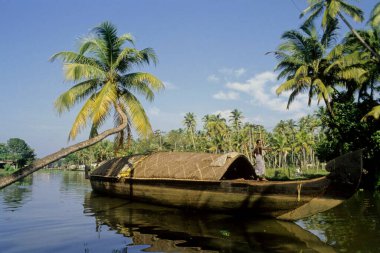 boating in back water, alleppy, kerala, India  clipart