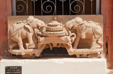 Gujri Mahal Müzesi, Gwalior, Madhya Pradesh, Hindistan 'da taşlara filler oyulmuş. 