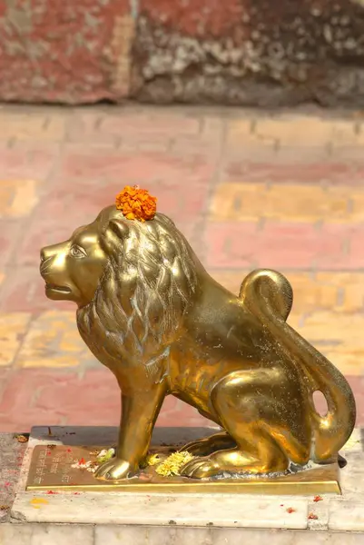 stock image Brass statue of sited lion with marigold flower on head, Shree Devdeveshwar temple on top of Parvati hill, Pune, Maharashtra, India 
