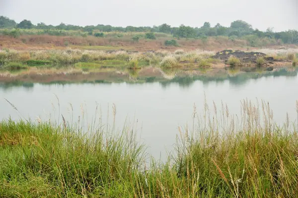 stock image Auranga River, Valsad, Gujarat, India, Asia