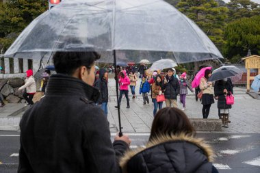 Yayalar karşıya geçiyor, Kamakura, Japonya 