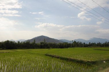 Field, Srinagar, jammu Kashmir, Hindistan, Asya 