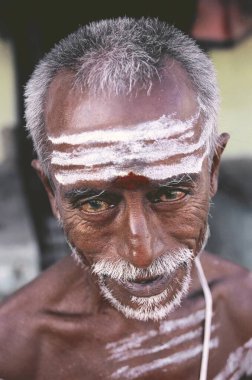 Alnında beyaz tilak olan yaşlı sakallı adamın portresi 