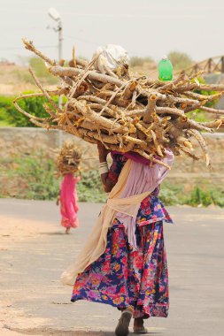 Rajasthani 'nin kafasında tahta çubuklar taşıyan bayanı, Jodhpur, Rajasthan, Hindistan 