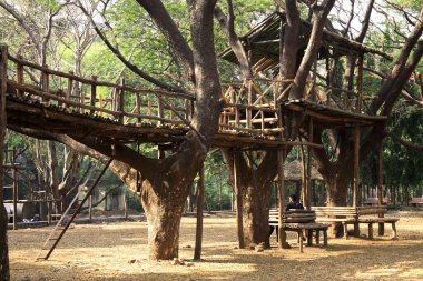 Sanjay Gandhi Ulusal Parkı, Borivali, Bombay Mumbai, Maharashtra, Hindistan 'da insan yapımı bambu yapı iskelesi platformu kuruldu. 