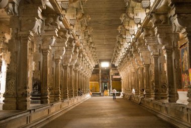 Thiruvanaikaval, Tiruchchirappalli, Tamil Nadu, Hindistan 'daki Jambukeshwara tapınağındaki sütun koridoru. 