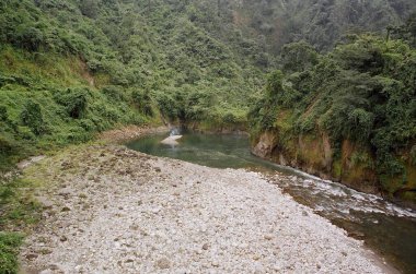 Yeşillik ve nehir gündüz vakti, Hindistan