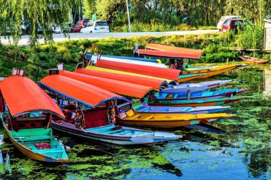 Shikaras Dal Gölü, Srinagar, Kashmir, Hindistan, Asya