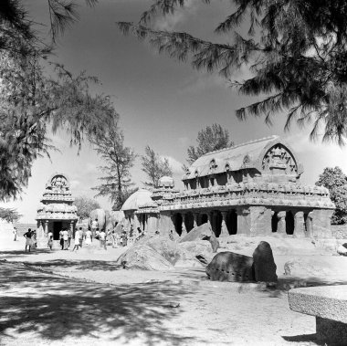 Mamallapuram 'da ya da mahabalipuram' da beş Ratha, Tamil nadu 7. Yüzyıl, Hindistan 