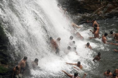 Palaruvi şelalesinin görünümü; Thenmala; Kerala; Hindistan