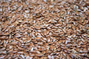 Keten tohumu; Alsi; Omega 3 açısından zengin; Doğal Sağlık Gıda 