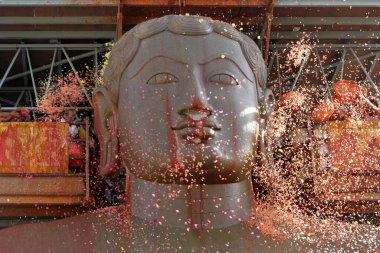 Mahamasthakabhisheka Jain festivali sırasında her 12 yılda bir Bhagwan Gomateshwara Bahubali 'nin 18 metre yüksekliğindeki heykeline çiçekler serpilmektedir; Shravanabelagola; Hasan bölgesi; Karnataka eyaleti; Hindistan;