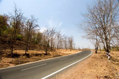 Yazın Malshej Ghat, Maharashtra, Hindistan 'da 222 numaralı karayolu.
