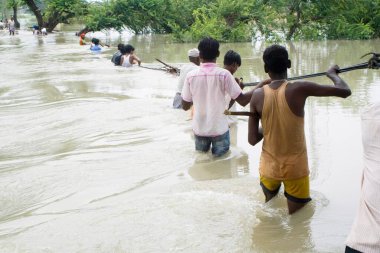 2008 yılında büyük oranda yoksulluk sınırının altında acı çeken Kosi nehri seli Purniya ilçesinde, Bihar 'da, Hindistan' da,