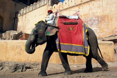 Fil amer kalesinde oturan adam Jaipur Rajasthan Hindistan Asya