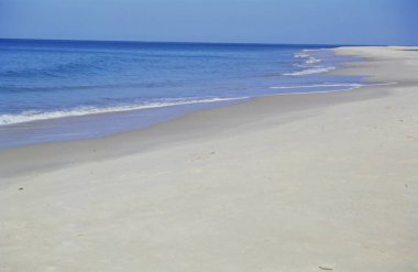 Sahil, Bhogwe, Sindhudurga, Maharashtra, Hindistan 