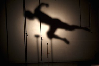 Nofit Devlet Sirki Sanatçısı Hint Teknoloji Enstitüsü 'nün Bombay Mumbai, Maharashtra, Hindistan' daki yıllık kültür festivali Mood Indigo 'da sahne alacak. 