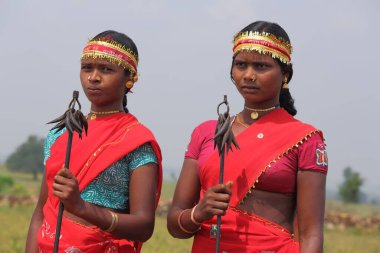 Bizon boynuz dansçıları, bastar, chhattisgarh, Hindistan, Asya