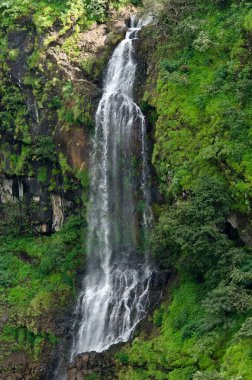 Hindistan Maharashtra, Satara Şelalesi manzarası 