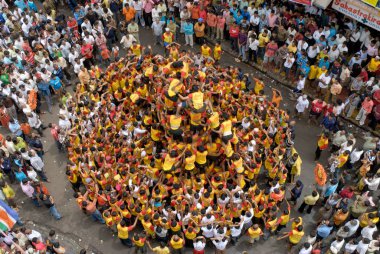 İnsan piramidi, Dahikala, Janmashtami janmashtmi gokul ashtami govinda festivali, Dadar, Bombay, Mumbai, Maharashtra, Hindistan 