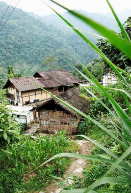 Pastanga, Sikkim, Hindistan 'da kırsal yaşam