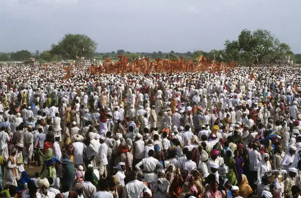 Pandharpur yatra, hacılar turuncu bayraklar, pandharpur, maharashtra, Hindistan ile bir araya geldiler.  