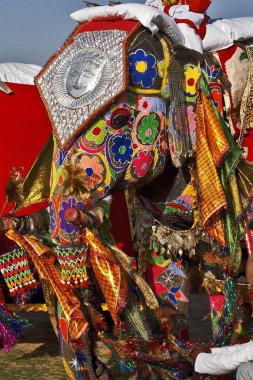 Fil Dekorasyonu, Fil Festivali 2004, Chuagan Stadyumu, Jaipur, Rajasthan, Hindistan