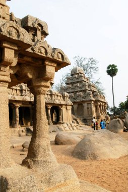 7. yüzyılda kurulan beş Rathas Pancha Rathas tapınağı; Mahabalipuram Mamallapuram; Tamil Nadu; Hindistan