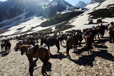 Pilgrim, amarnath yatra, jammu Kashmir, Hindistan, Asya  