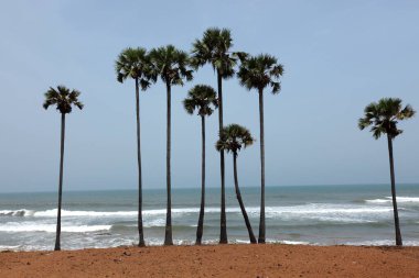 Vishakhapatnam yakınlarındaki Bheemili plajı; Andhra Pradesh; Hindistan