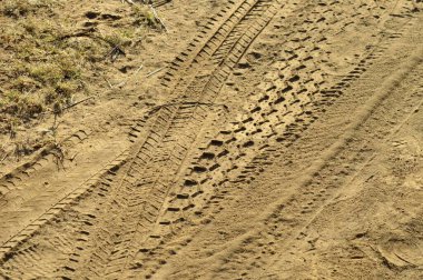 Gujarat Hindistan 'da çamurda lastik izleri var.