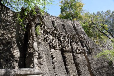 Kaya bahçesi, Chandigarh, Haryana, Hindistan, Asya