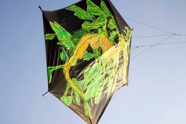 Huge kite flying in Kite festival ; Shivaji Park ; Bombay Mumbai ; Maharashtra ; India clipart